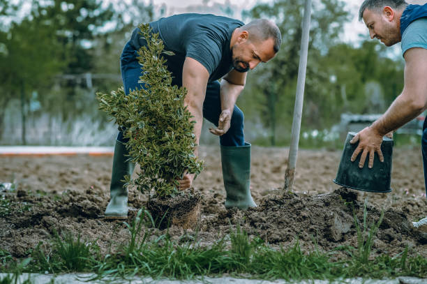 Best Tree Removal for Businesses  in Lisbon, ME